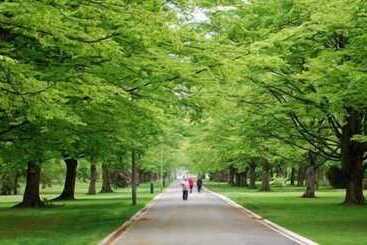 هتل Central City Camping Park