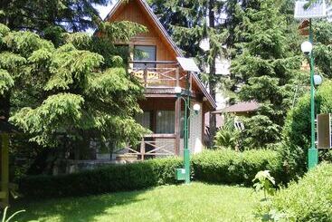 هتل Traveland Butique Resort Poiana Brasov