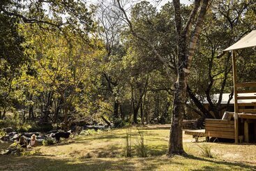 هتل Africamps At Mackers   Glamping