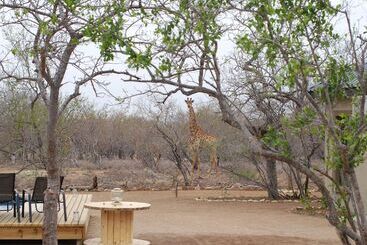 هتل The Baobab Bush Lodge, No Self Catering