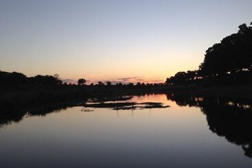 هتل The Baobab Bush Lodge, No Self Catering