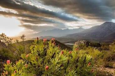هتل Wildehondekloof Game Lodge