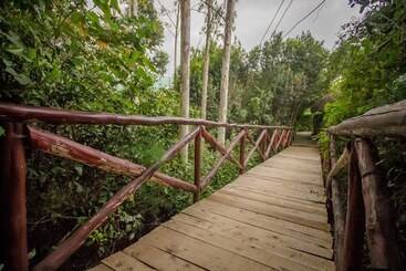 هتل Dove Nest Lodge