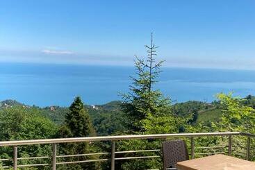 هتل Zarha Mountain Resort