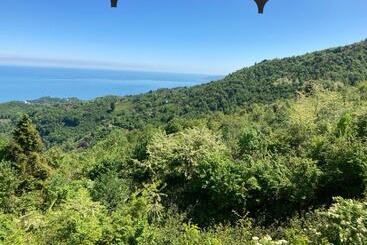 هتل Zarha Mountain Resort