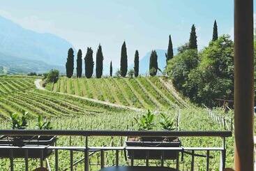 هتل Agritur Casteller