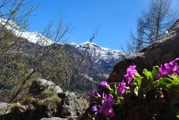 هتل L Millefiori Alpine Event Lodge