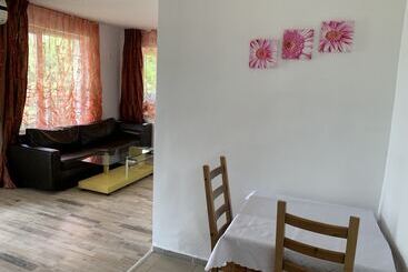 هتل Samuil Apartments