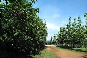 هتل Loei Airport Homestay