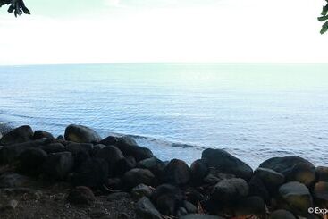 בית מלון כפרי Algen's Dive Resort