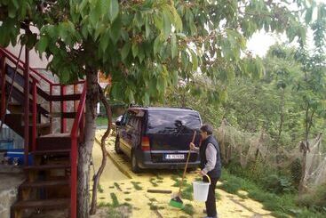 هتل Villa Noi
