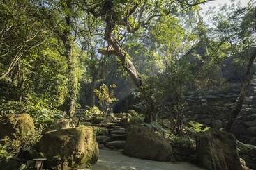 Great Roots Forestry Spa Resort