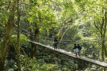 Great Roots Forestry Spa Resort