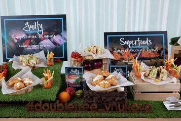 酒店 Doubletree By Hilton Moscow Vnukovo Airport