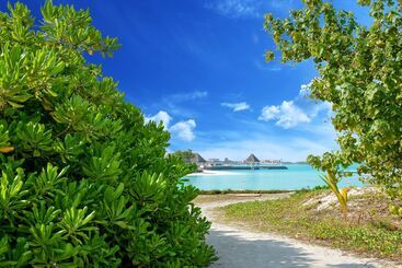 هتل Maldives Seashine Guesthouse