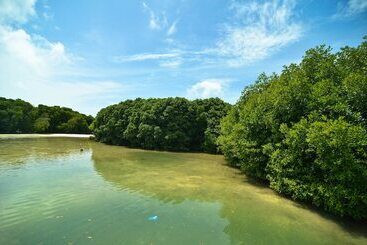 پانسیون Huraa East Inn
