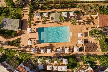 Petunia Ibiza, A Beaumier