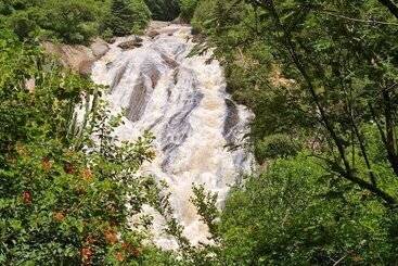 هتل Phophonyane Falls Ecolodge