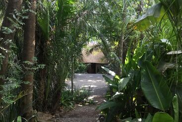 هتل Phophonyane Falls Ecolodge