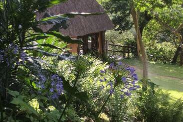 هتل Phophonyane Falls Ecolodge