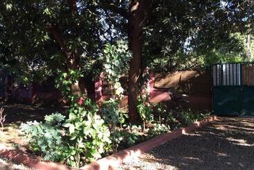 پانسیون Tabonina Guesthouse
