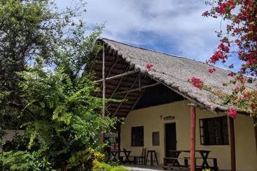 هاستل Beach Village Backpackers
