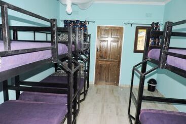 Café Zambezi House Of Africa   Hostel