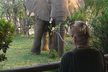 هتل Warthogs Safari Camp