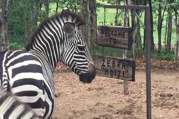 هتل Warthogs Safari Camp