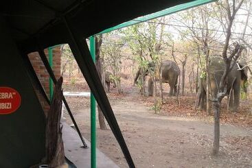 هتل Warthogs Safari Camp