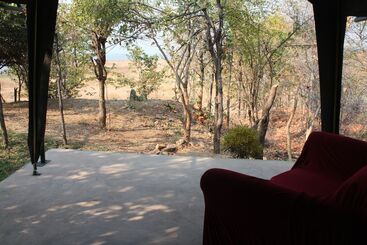 هتل Warthogs Safari Camp