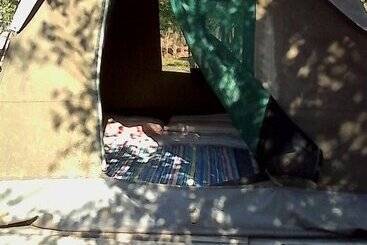 هتل Warthogs Safari Camp