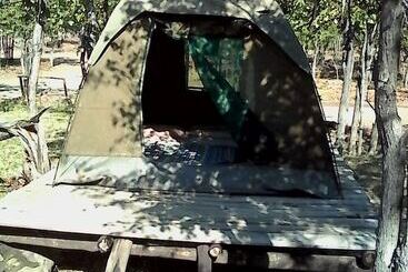 هتل Warthogs Safari Camp