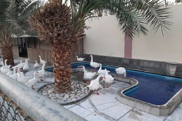 Asahalah Farm Pool Villas