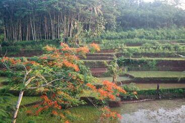 هتل The Gecho Inn Country