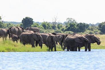 هتل Zambezi Mubala Lodge