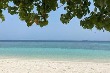پانسیون Beach Veli