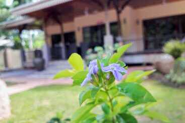 پانسیون Casa De Leela Self Catering Guest House