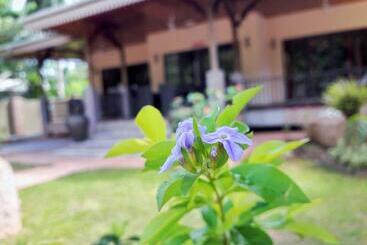 پانسیون Casa De Leela Self Catering Guest House