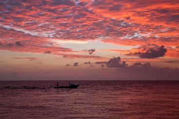 Noovilu Suites Maldives - Mahibadhoo