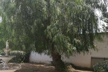 تختخواب و صبحانه Garden Inn