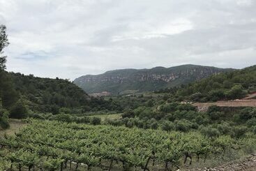Terra Dominicata   Hotel & Winery   Adults Only - La Morera de Montsant