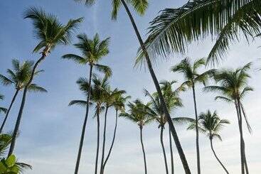 استراحتگاه Meliá Punta Cana Beach Wellness Inclusive - Adults Only