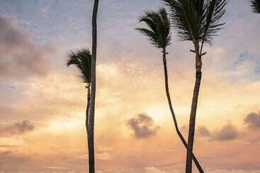 استراحتگاه Meliá Punta Cana Beach Wellness Inclusive - Adults Only
