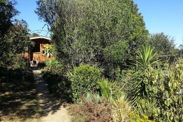 Veki S Village Cottages