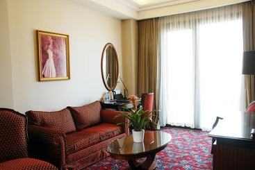 هتل Blue Diamond Ataturk Palace