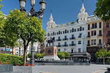 酒店 H10 Palacio Colomera