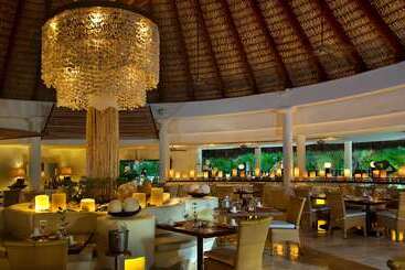 Melia Caribe Beach Resort  All Inclusive