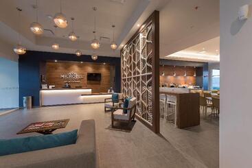 Microtel Inn & Suites By Wyndham San Luis Potosi