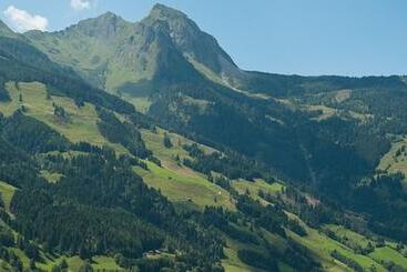 דירות לתיירים Appartements Hartlbauer